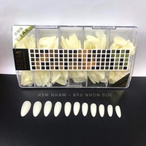 bầu nhám đục